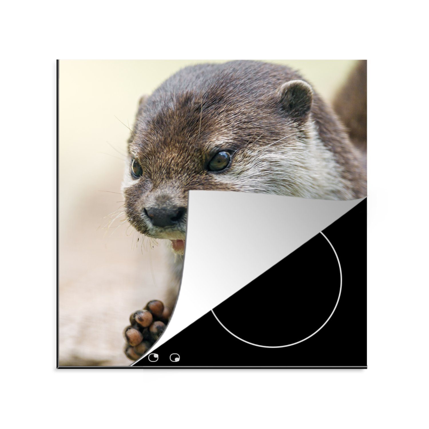MuchoWow Herdblende-/Abdeckplatte Ein Otter mit zusammengelegten Beinen, Vinyl, (1 tlg), 78x78 cm, Ceranfeldabdeckung, Arbeitsplatte für küche