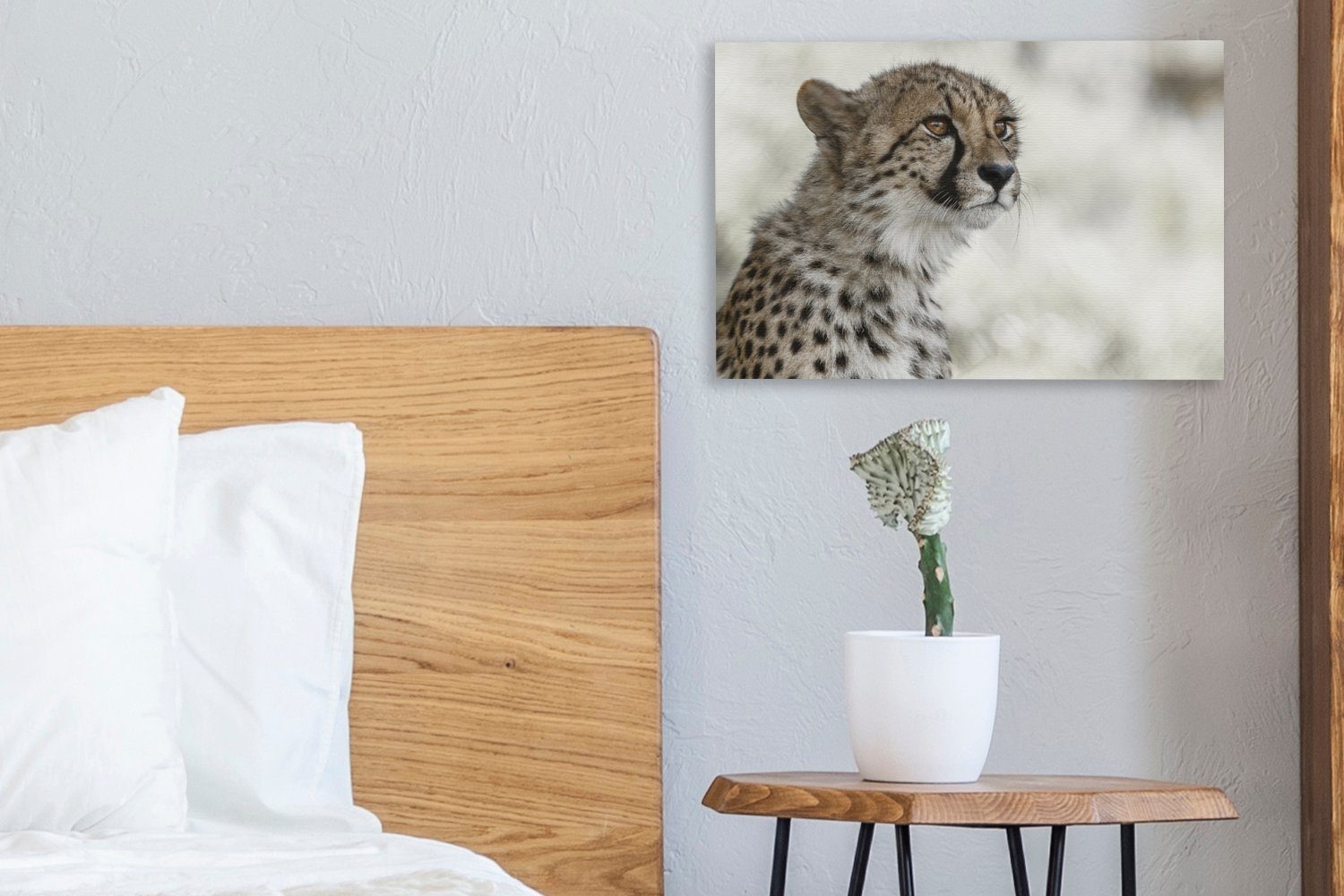 im Wandbild Gepard Junger cm Leinwandbilder, St), Leinwandbild OneMillionCanvasses® Aufhängefertig, 30x20 Schnee, Wanddeko, (1