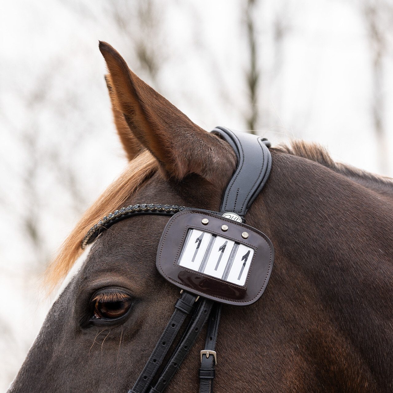 QHP Startnummern Startnummernhalter (2er-Pack)