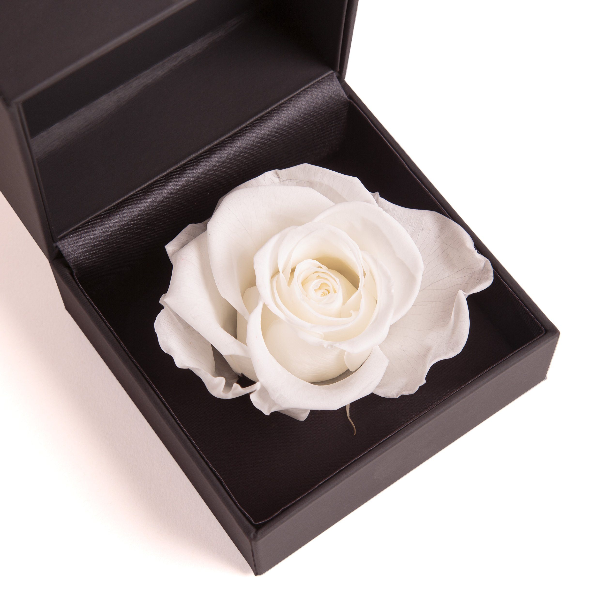 Höhe Ringbox 9 Groß SCHULZ Kunstblume cm, Ringdose Box Langlebige Infinity Heidelberg, Rose konserviert Weiß in Rose Rose, ROSEMARIE Rosenbox