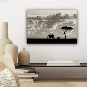 OneMillionCanvasses® Leinwandbild Wolke - Elefant - Schwarz - Weiß - Natur, (1 St), Wandbild Leinwandbilder, Aufhängefertig, Wanddeko, 30x20 cm