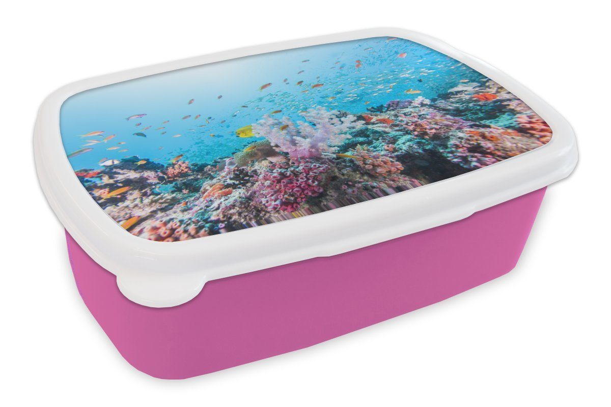 MuchoWow Lunchbox Fische - Koralle - Farben, Kunststoff, (2-tlg), Brotbox für Erwachsene, Brotdose Kinder, Snackbox, Mädchen, Kunststoff rosa