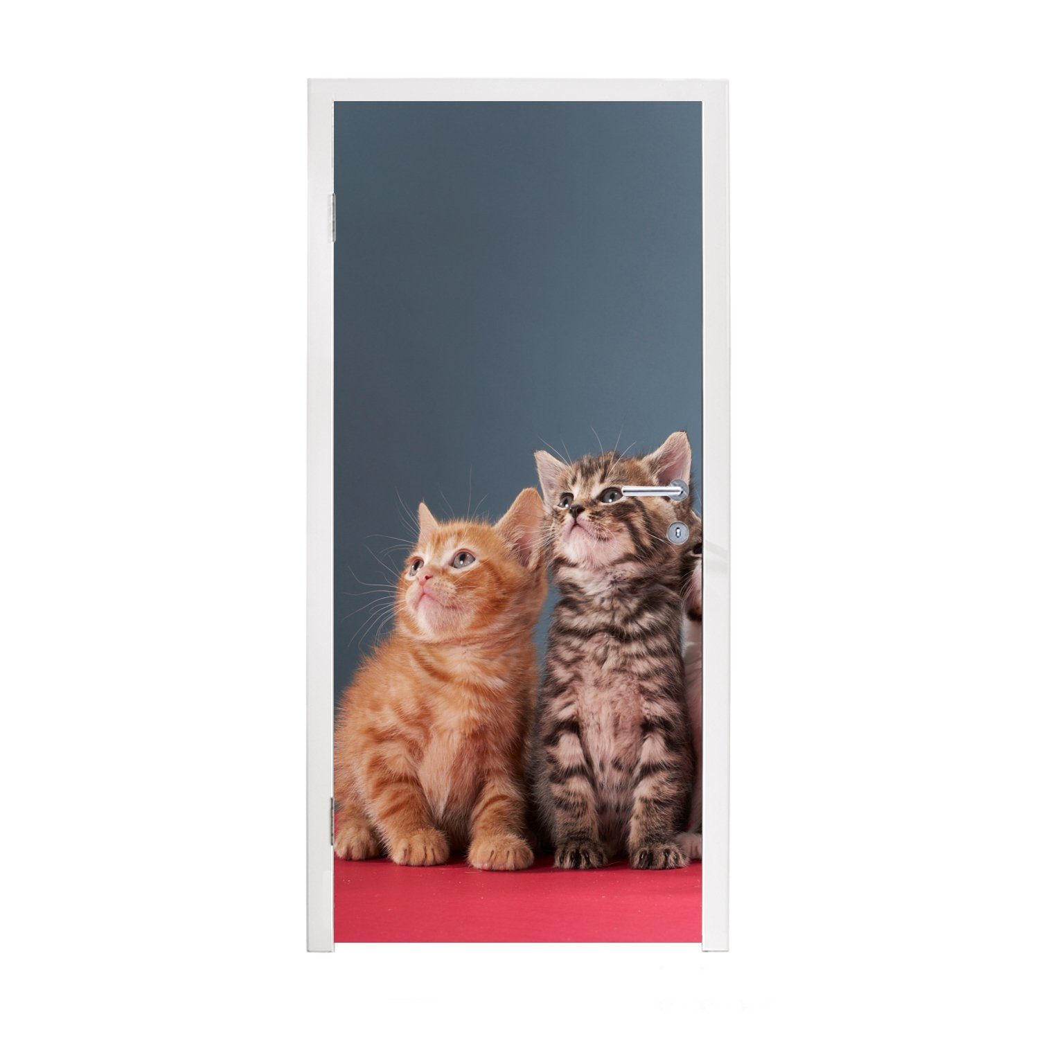 MuchoWow Türtapete Kätzchen - Blau - Rosa - Mädchen - Jungen - Kind, Matt, bedruckt, (1 St), Fototapete für Tür, Türaufkleber, 75x205 cm