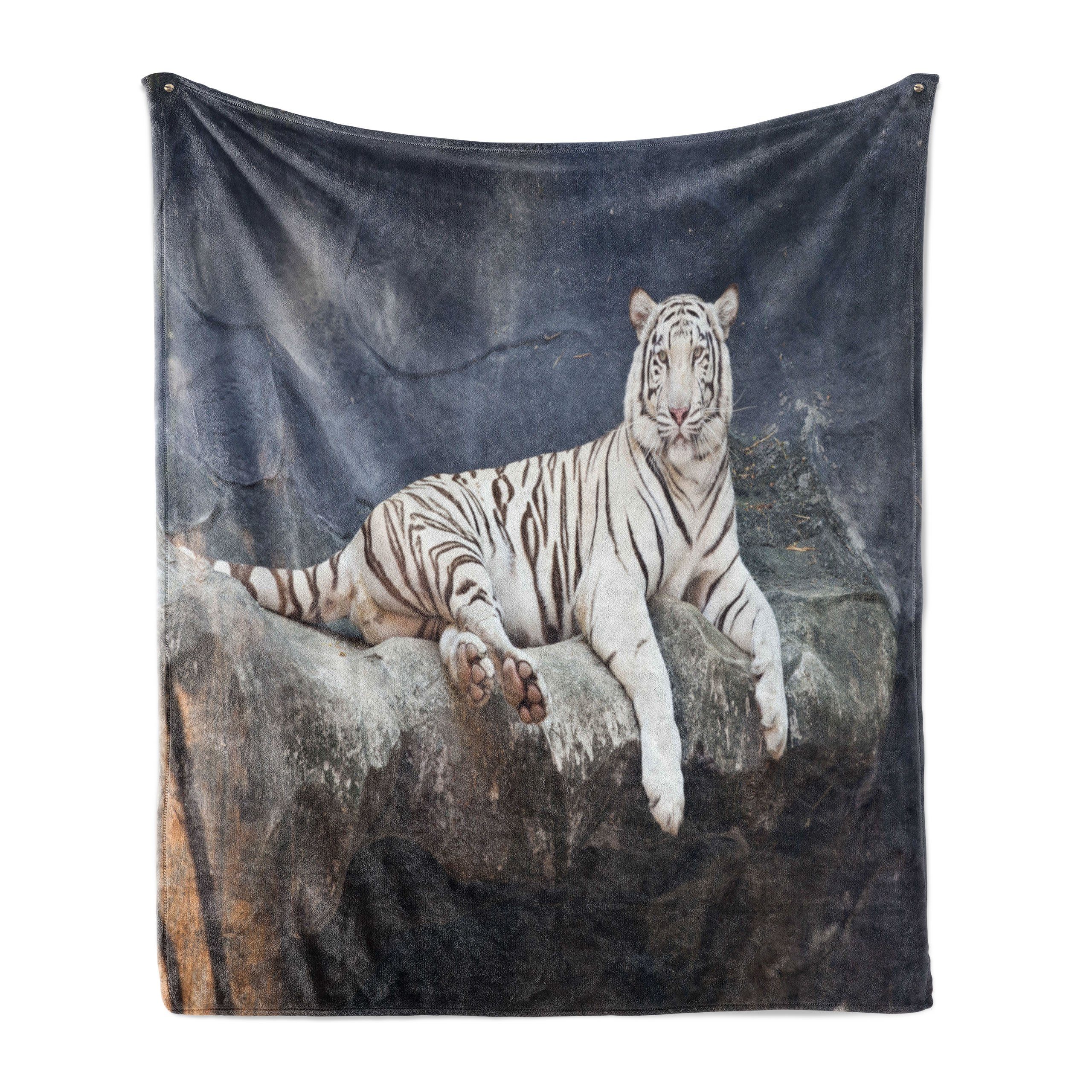 Gemütlicher Plüsch Wohndecke Wildlife Tiger Innen- Katze den für und Außenbereich, Felsen Abakuhaus, dem auf