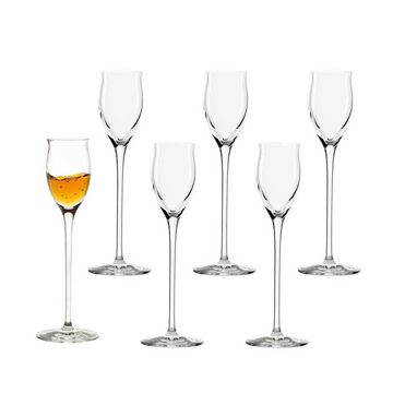 Stölzle Glas Quatrophil Wein- und Sektgläser 36er Set, Glas