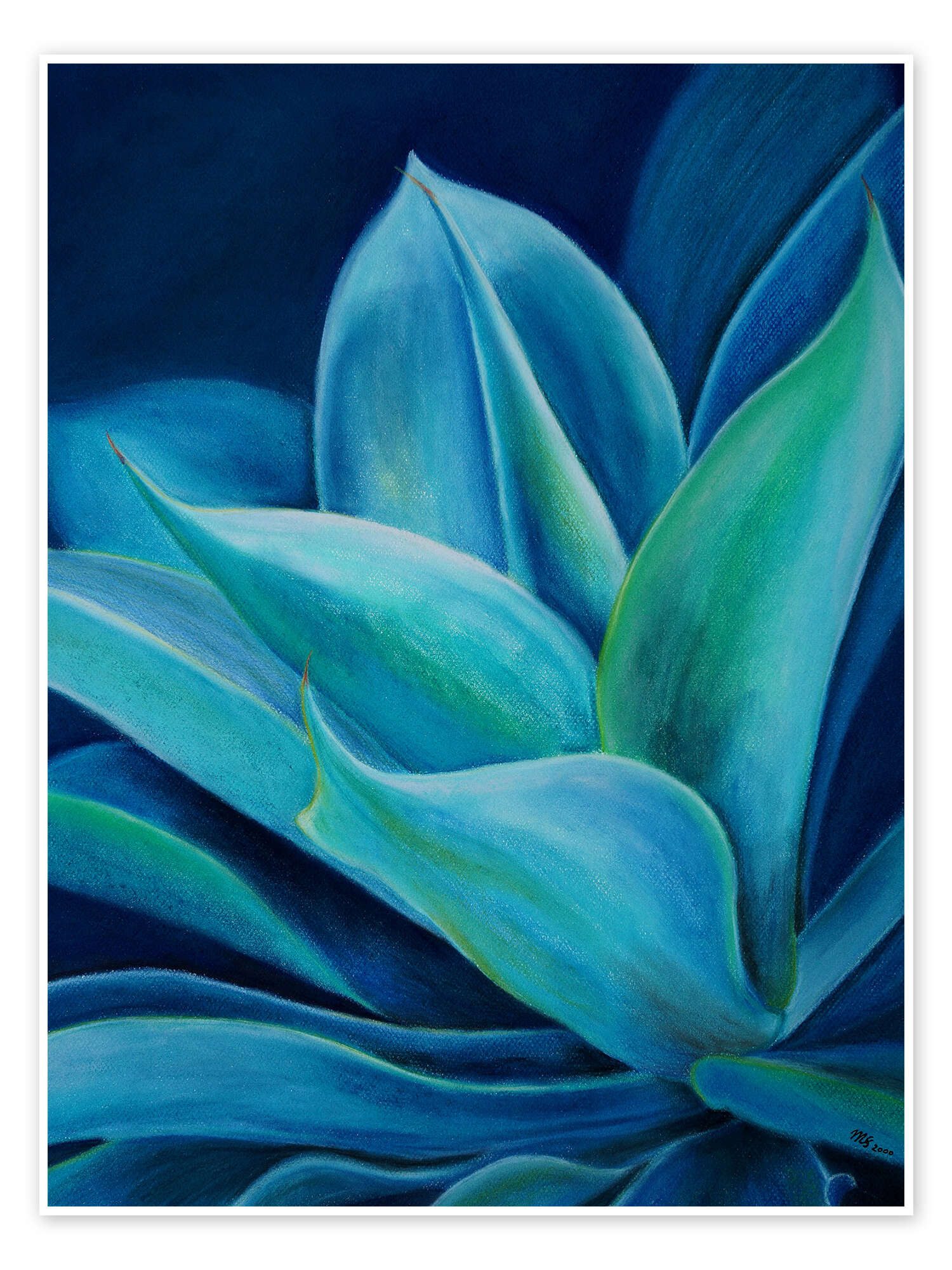 Posterlounge Wandbild Agave, Monica Schwarz, erhältlich als Poster, Leinwandbild, Wandsticker oder Acrylglasbild