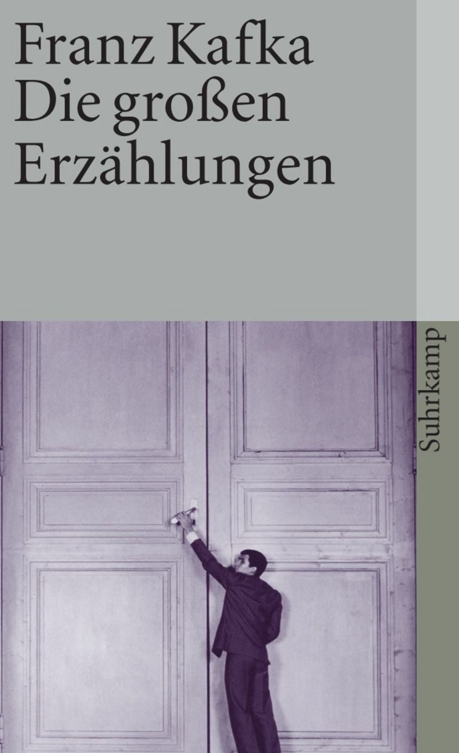Die großen Erzählungen / Franz Kafka