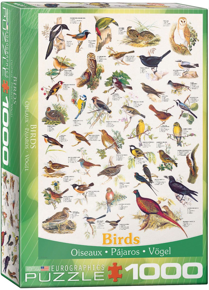 Puzzle 1000 Teile Puzzle - Puzzle - Die Welt der Vögel, Puzzleteile günstig online kaufen