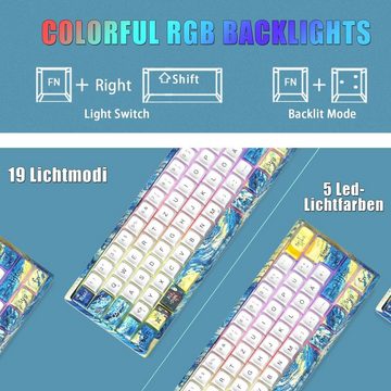 MIHIYIRY 60% Mechanische Gaming 62 Tasten Outemu Red Switch, Starry Night Tastatur (mit Rotem Switch und RGB-Hintergrundbeleuchtung für Windows und Mac)