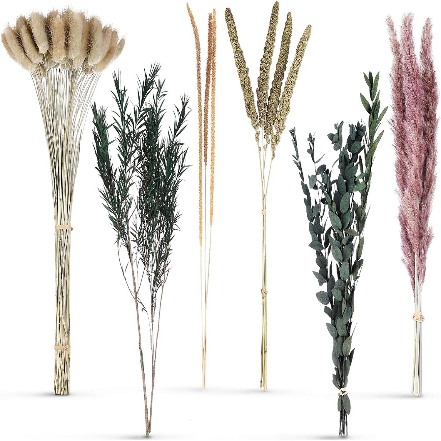 Trockenblume 100% Natürliche Trockenblumen,Pampasgras Trockenblumen Deko 85 Stück Pampasgras Getrocknet, Flauschige Eukalyptus Pampasgras Getrocknete Blume, Toomoke, Höhe 45 cm, Trockenblumenstrauß für Hochzeit Boho Deko Wohnzimmer Tischdeko