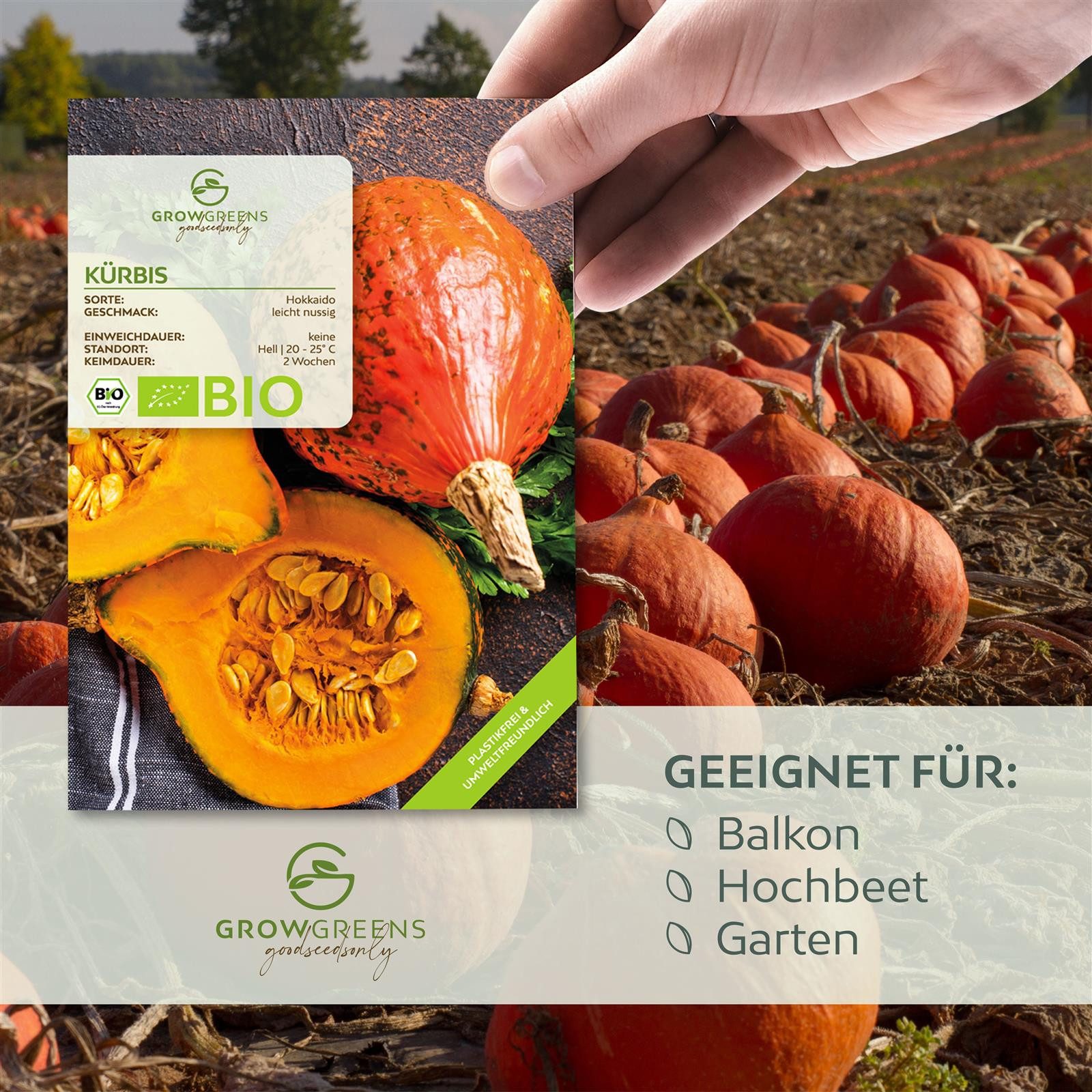 Growgreens Gemüsesamen BIO Kürbis Samen (Hokkaido) günstig online kaufen