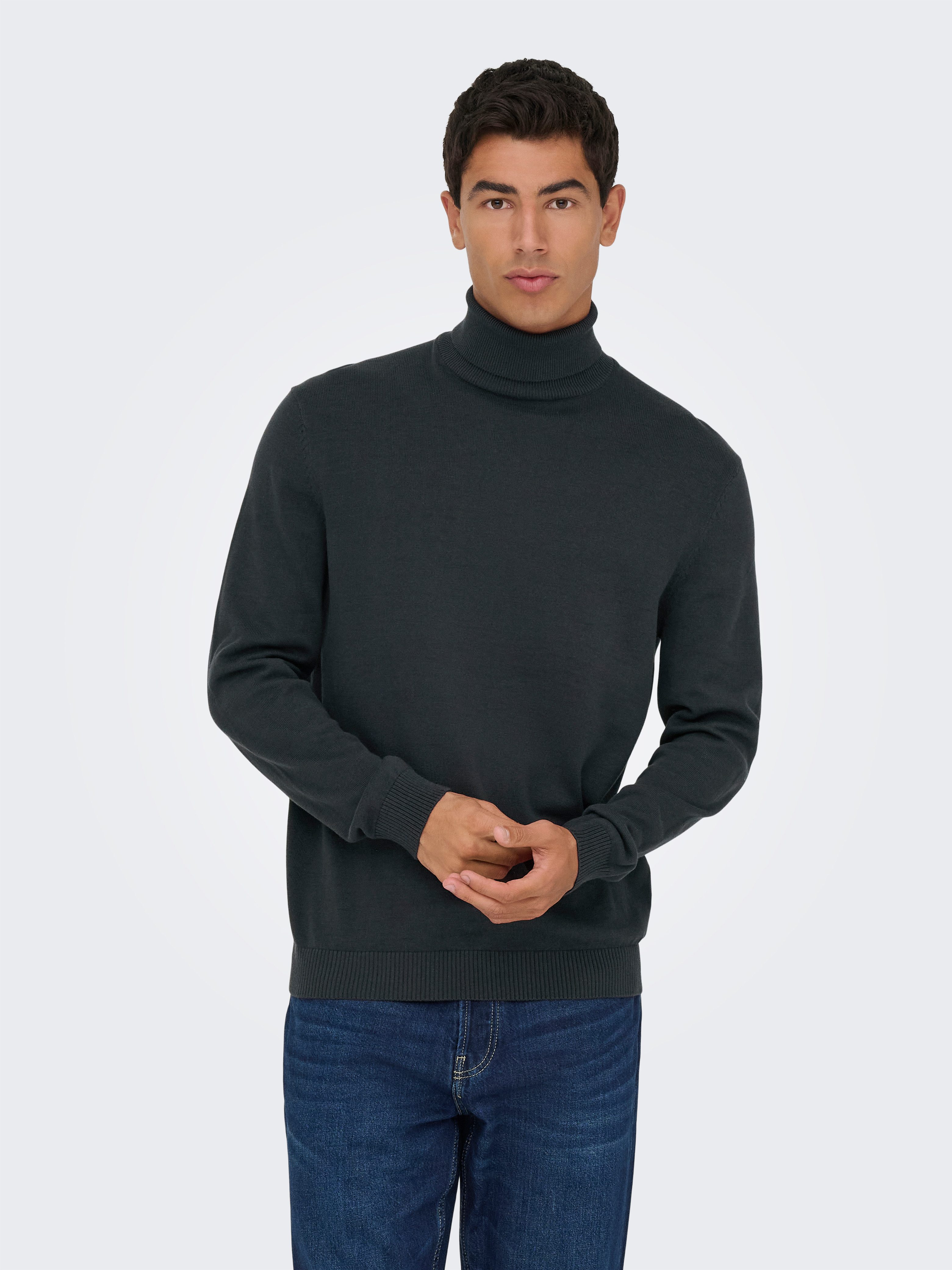 ONLY & SONS Rollkragenpullover ONSHOLGER REG ROLL NECK KNIT - OTL günstig online kaufen