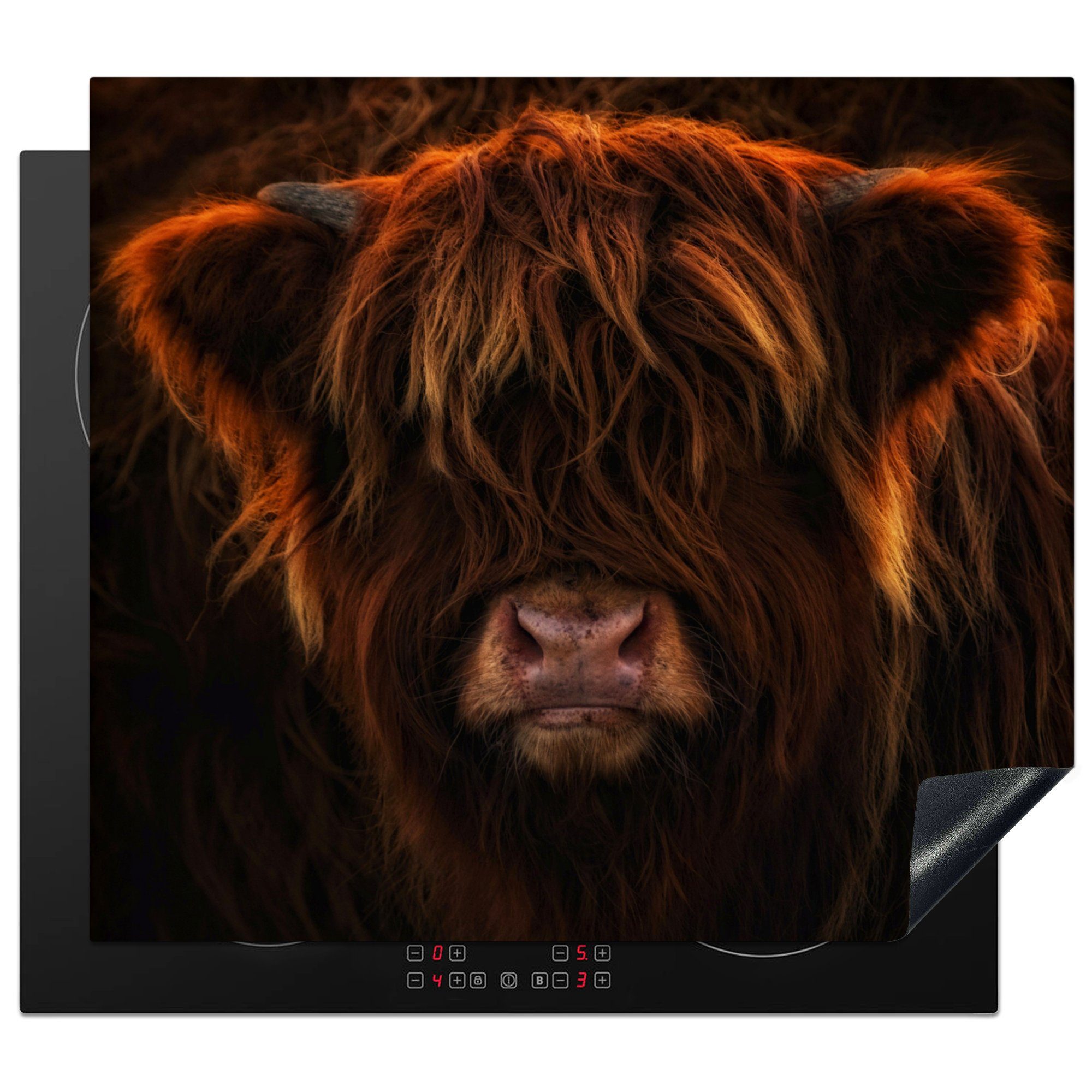 MuchoWow Herdblende-/Abdeckplatte Schottischer Highlander - Leicht - Tier, Vinyl, (1 tlg), 59x52 cm, Ceranfeldabdeckung für die küche, Induktionsmatte