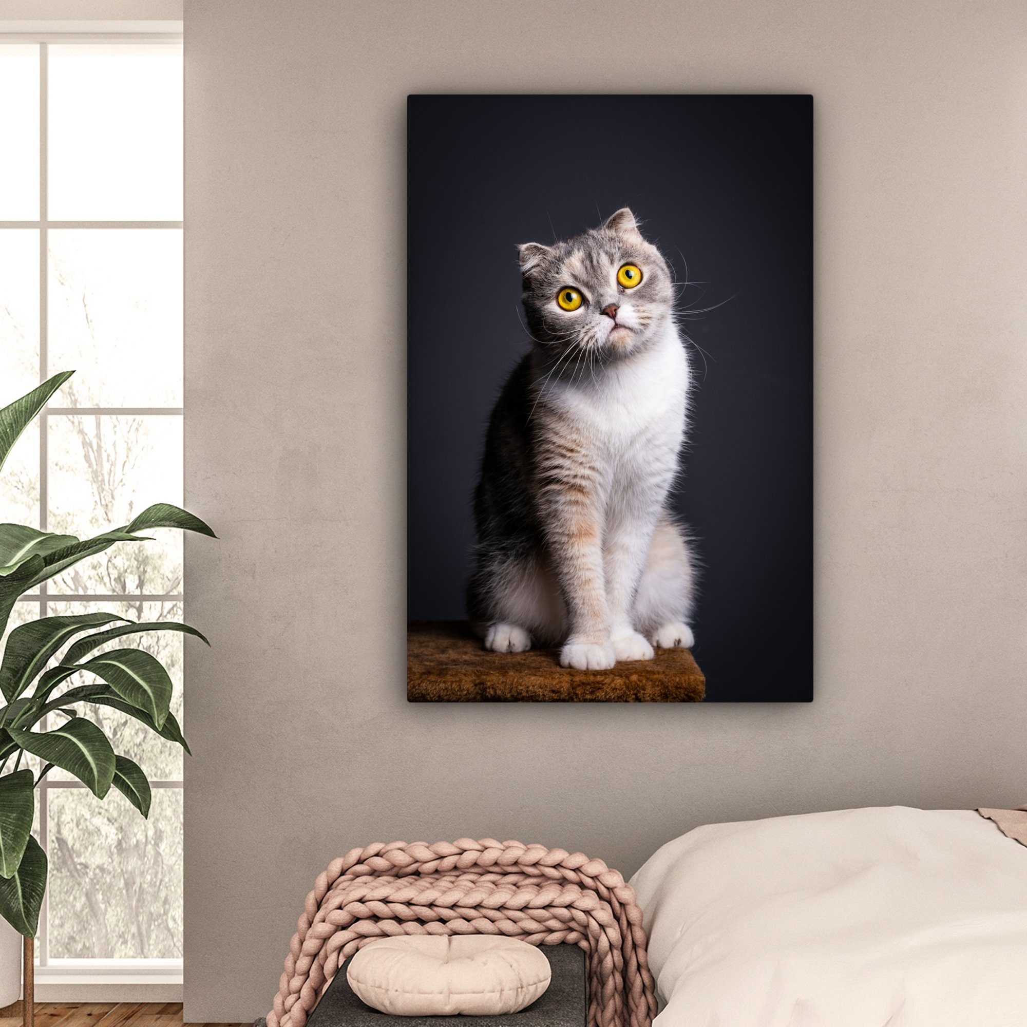 Gemälde, Licht, großes, cm 90x140 für alle - Augen - XXL, St), Wohnbereiche, Katze OneMillionCanvasses® (1 Leinwandbild Wandbild