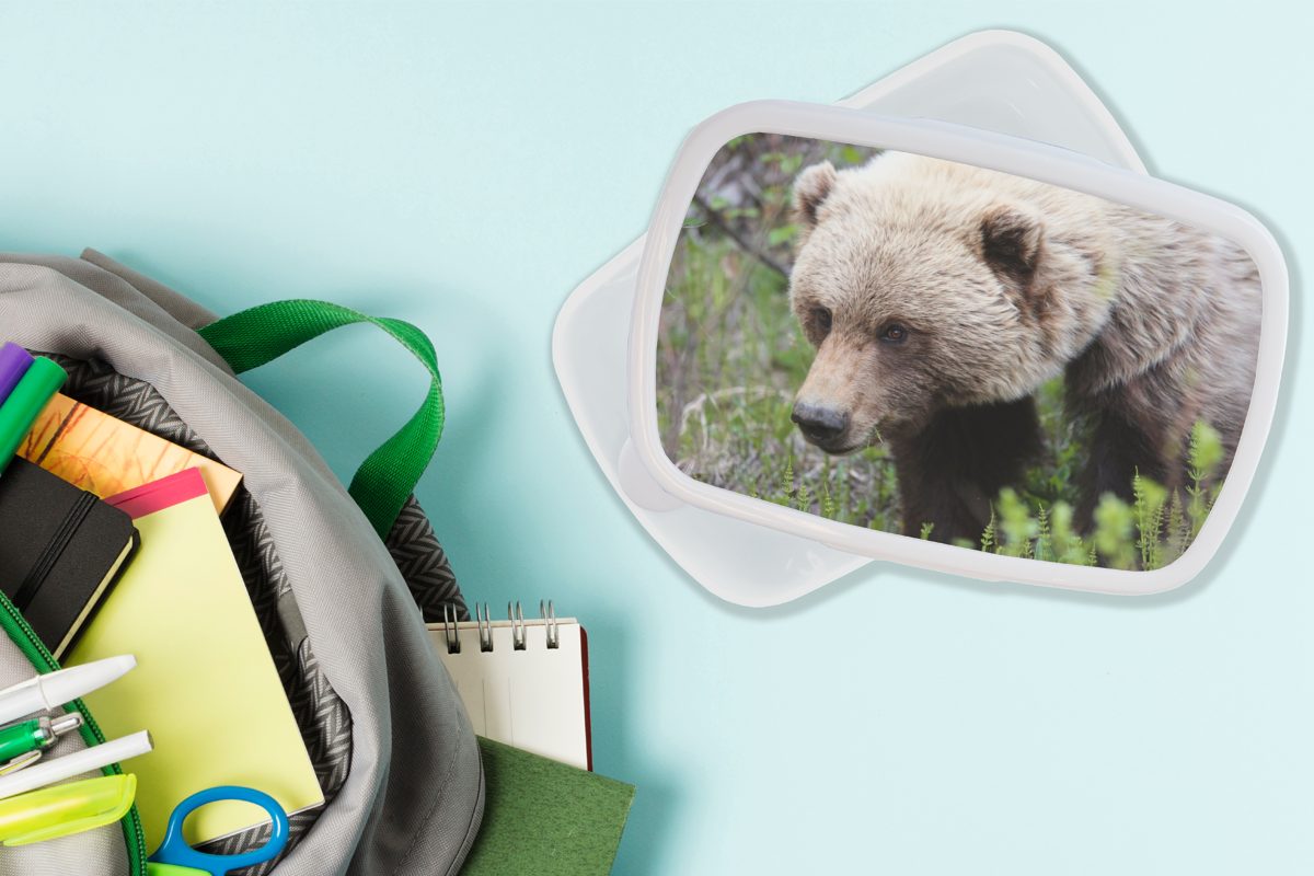 Lunchbox Kunststoff, (2-tlg), Erwachsene, Kinder Jungs und Mädchen - Bär und MuchoWow weiß für Grizzly für Wald, Brotbox - Brotdose,