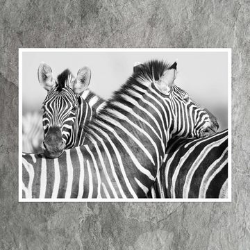 wandmotiv24 Poster Zebra, Tier, schwarz, Schwarz & Weiss (1 St), Wandbild, Wanddeko, Poster in versch. Größen