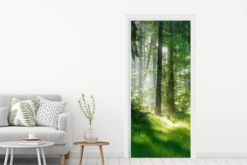 MuchoWow Türtapete Natur - Bäume - Wald - Grün - Sonne - Gras - Pflanzen, Matt, bedruckt, (1 St), Fototapete für Tür, Türaufkleber, 75x205 cm