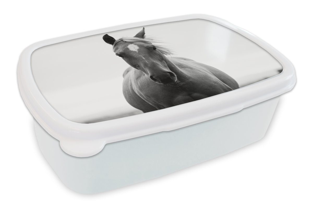 MuchoWow Lunchbox Pferd - Tier - Schwarz - Weiß, Kunststoff, (2-tlg), Brotbox für Kinder und Erwachsene, Brotdose, für Jungs und Mädchen | Lunchboxen