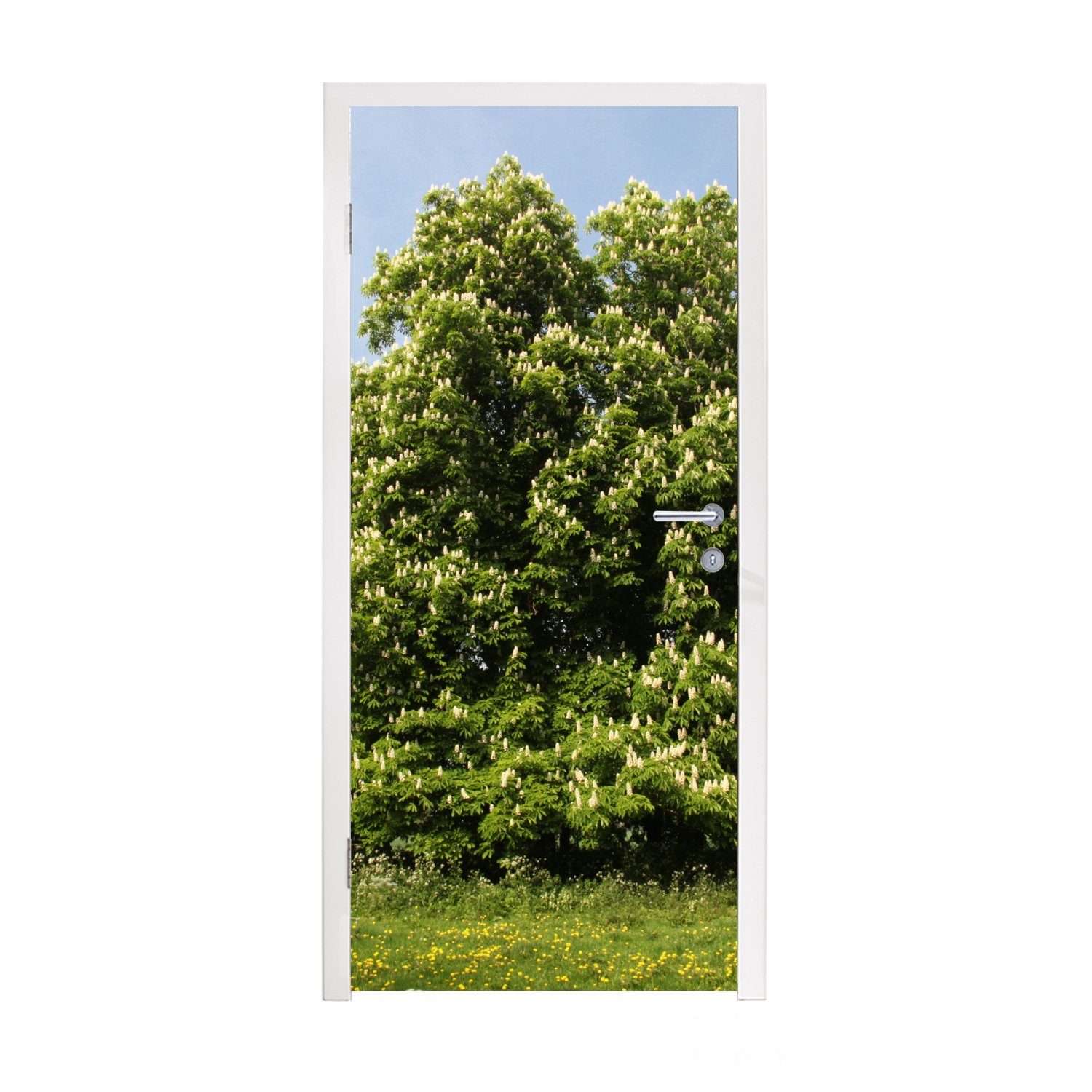 MuchoWow Türtapete Ein Kastanienbaum im Frühling in England, Matt, bedruckt, (1 St), Fototapete für Tür, Türaufkleber, 75x205 cm