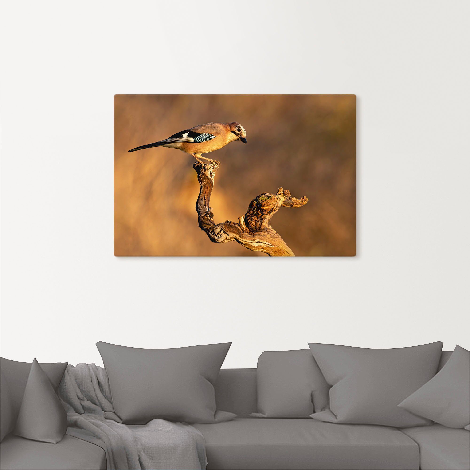 versch. in Wandaufkleber Vogelbilder (1 St), oder Wandbild Alubild, Leinwandbild, Artland Größen Eichelhäher, als Poster
