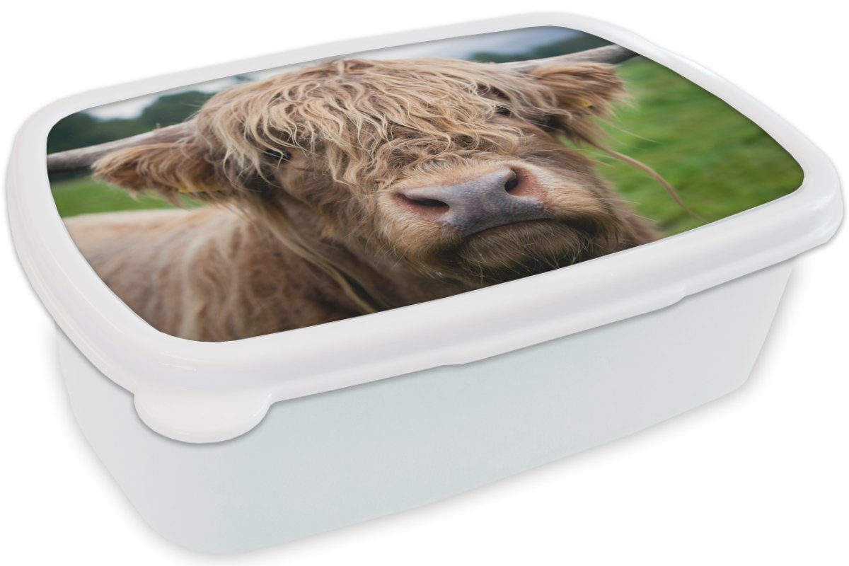 MuchoWow Lunchbox weiß und Wald, Gras (2-tlg), Kunststoff, Erwachsene, und für für Mädchen Brotdose, - Kinder - Jungs Schottische Highlander Brotbox