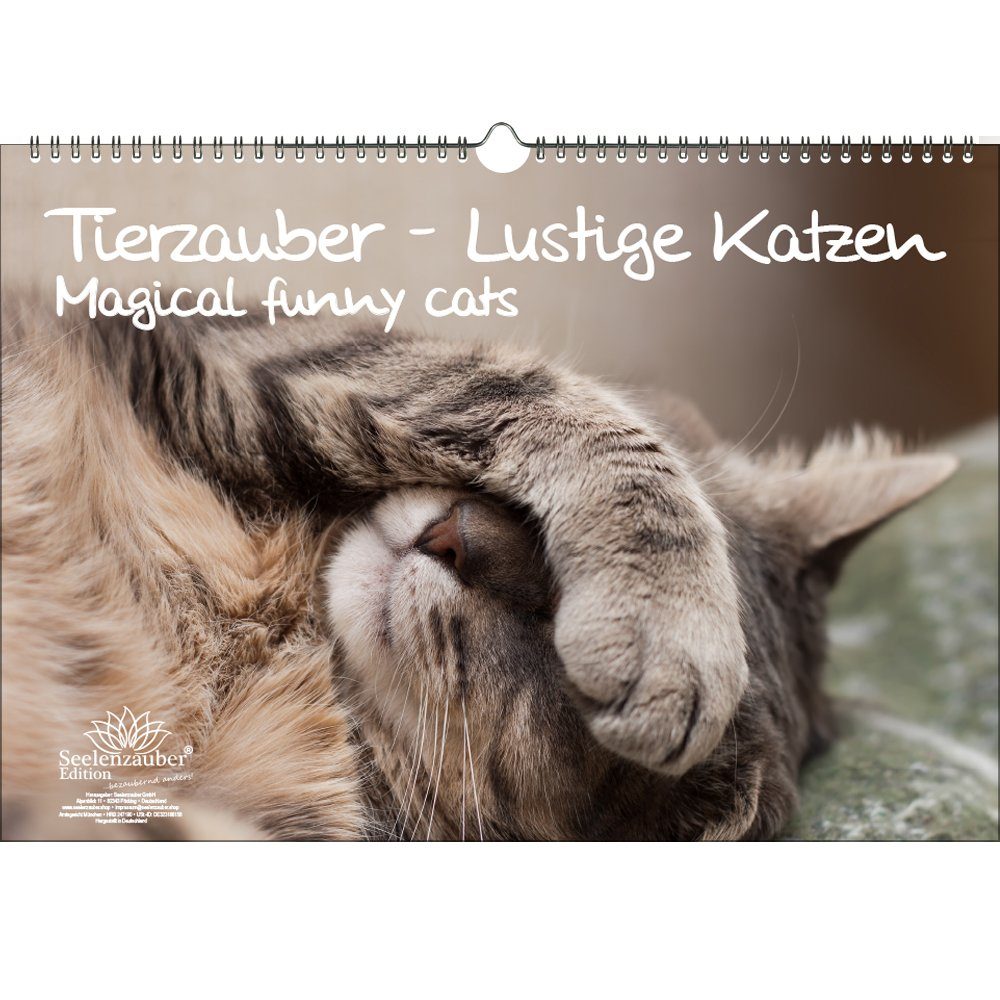 Seelenzauber ewige Kalender Tierzauber lustige Katzen DIN A3 Immerwährender Kalender lustige Katze