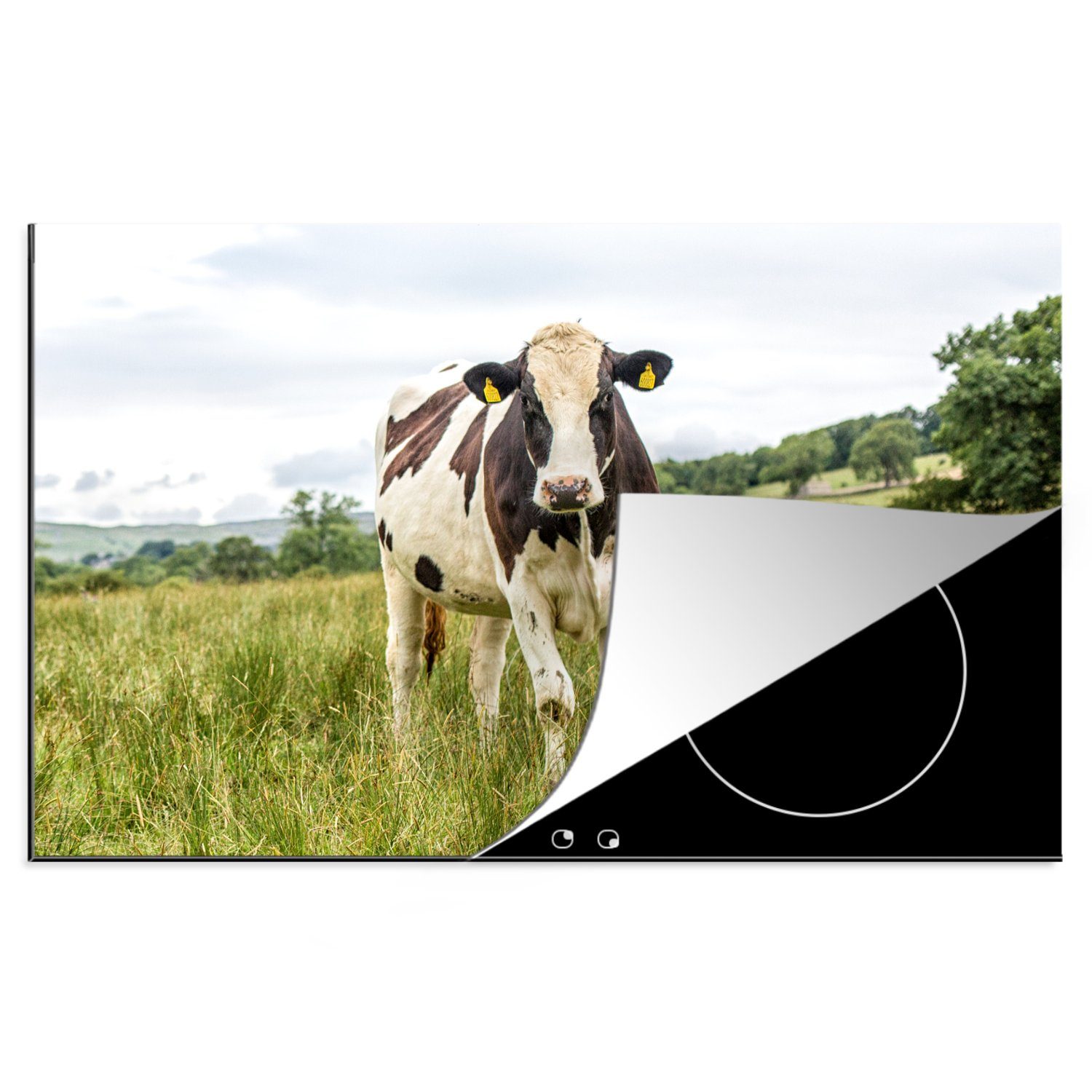 MuchoWow Herdblende-/Abdeckplatte Kuh - Gras - Landschaft, Vinyl, (1 tlg), 81x52 cm, Induktionskochfeld Schutz für die küche, Ceranfeldabdeckung