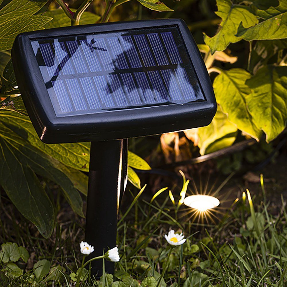 verbaut, schwarz 10x warmweiß Gartenleuchte Pflanzenstrahler LED-Leuchtmittel fest Haushalt Solarleuchte, International LED LED Solarlampe Warmweiß,