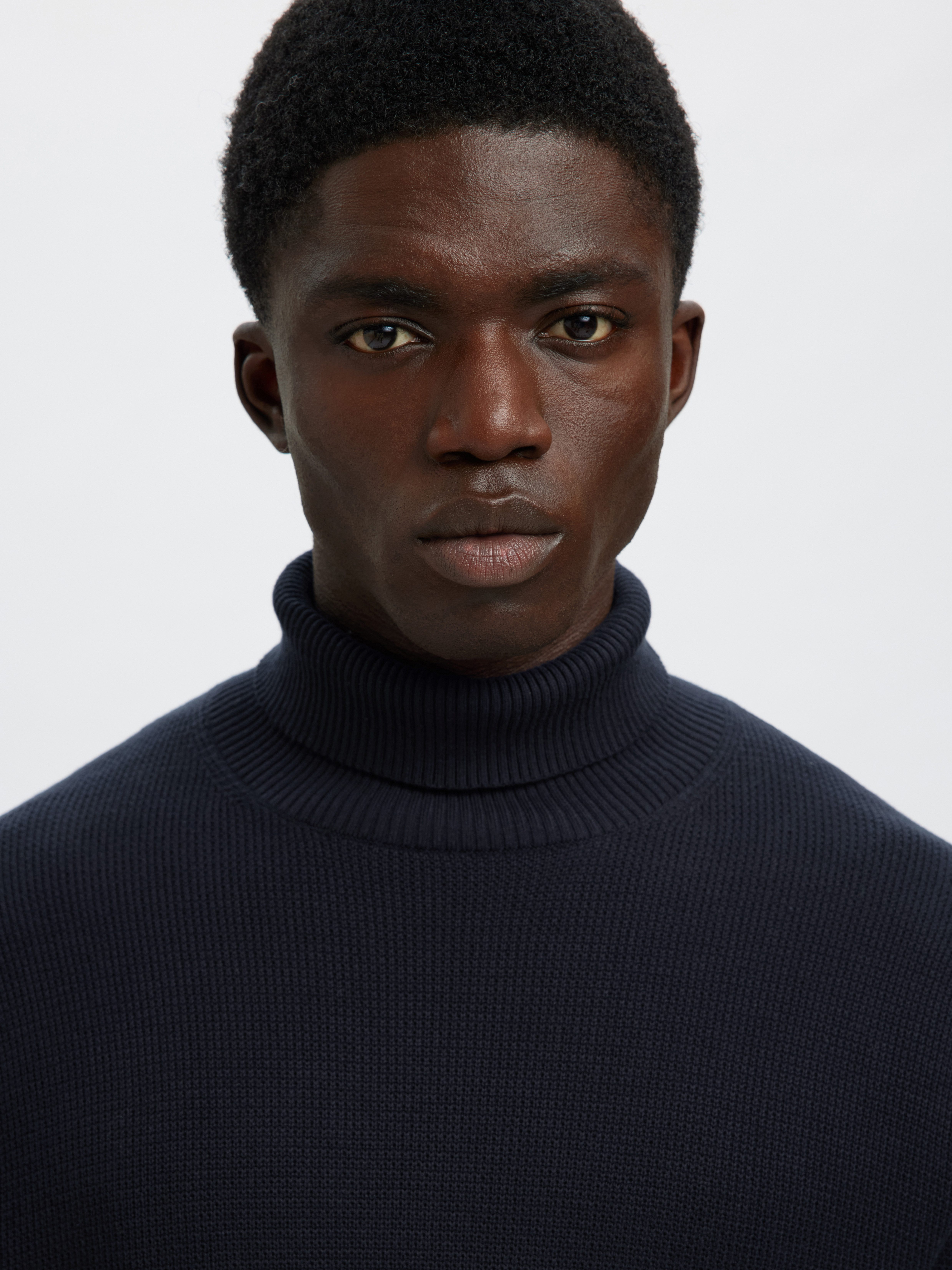 Selected Rollkragenpullover SLHDANE LS KNIT STRUCTURE ROLL NECK NOOS