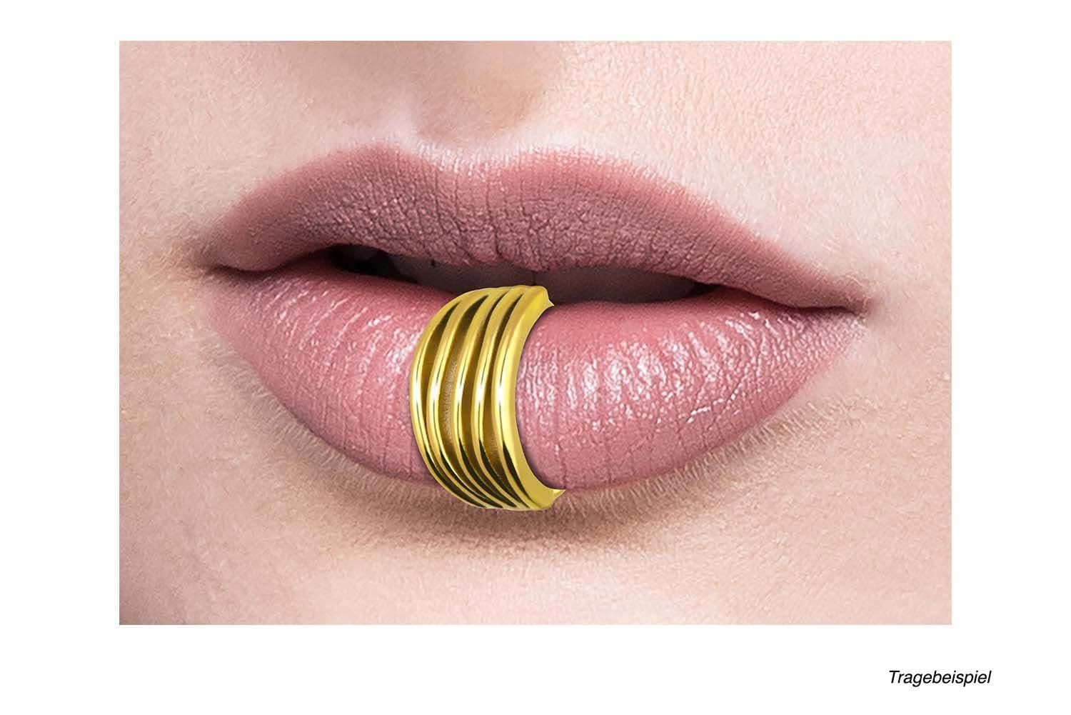 PIERCINGLINE Nasenpiercing Chirurgenstahl Segmentring Clicker DESIGN Ohrpiercing Septum Nase (Clicker, 1-tlg), Ohrpiercing für Conch, Helix, Tragus, Daith, Lobe