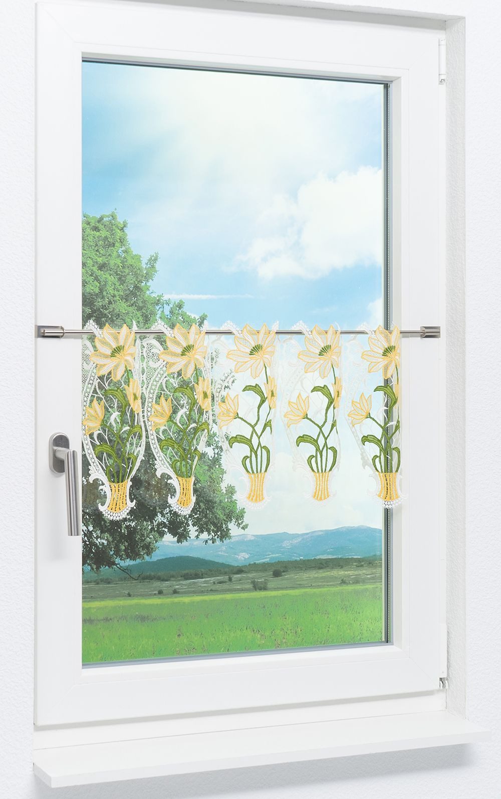 Plauener Spitze® Scheibengardine Blumenpracht, (1 St), günstig online kaufen
