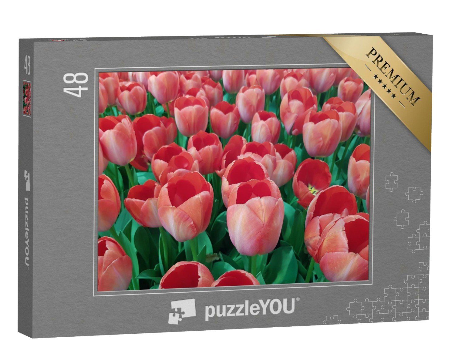 puzzleYOU Puzzle Pfirsichfarbene Tulpen auf einem Feld, 48 Puzzleteile, puzzleYOU-Kollektionen Tulpen