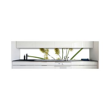 DRUCK-EXPERT Küchenrückwand Küchenrückwand Cyperus Blume Hart-PVC 0,4 mm selbstklebend