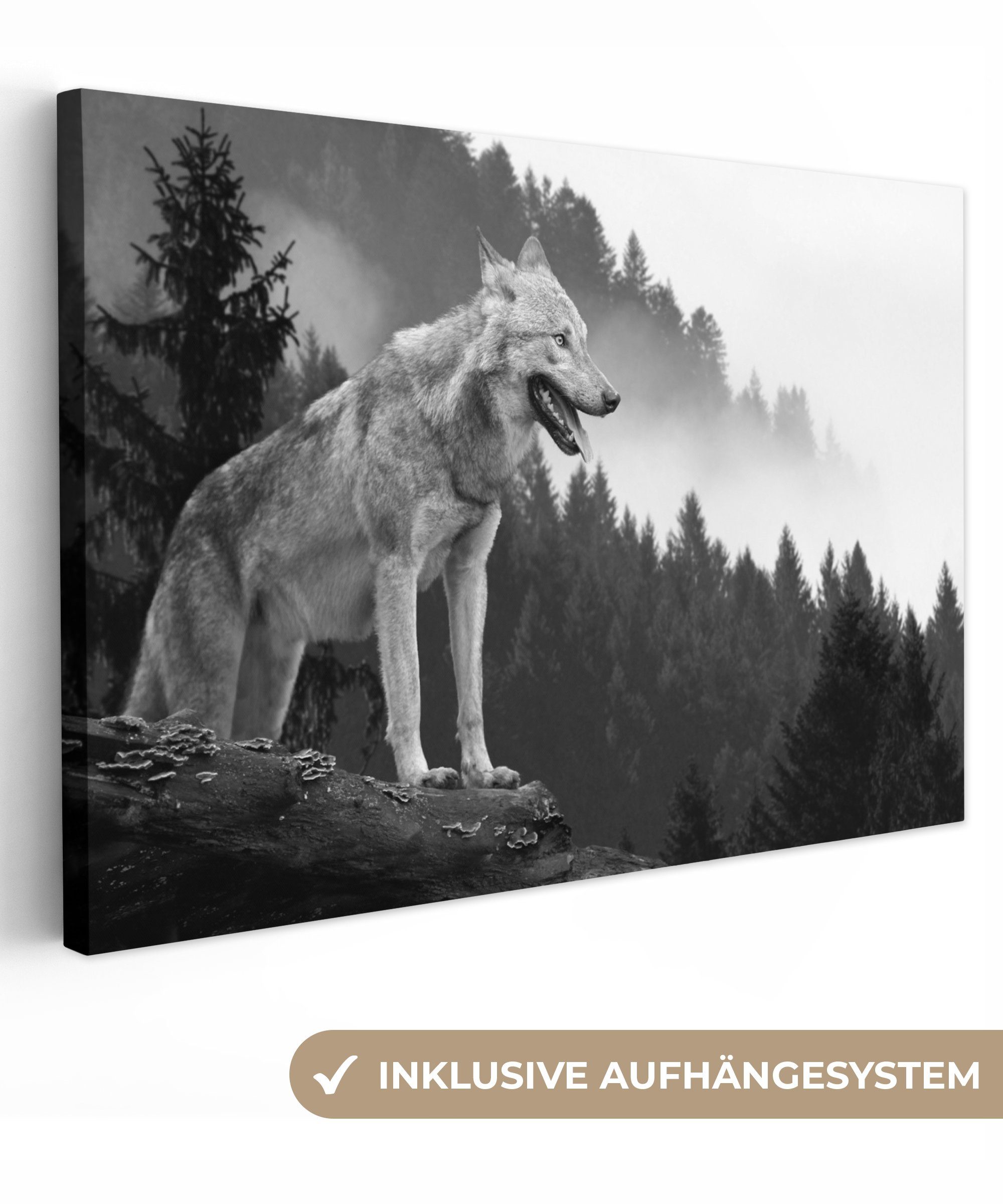 OneMillionCanvasses® Leinwandbild Wolf - Wald - Schwarz - Weiß, Fotodruck (1 St), Leinwand Bilder Klein, Wand Dekoration Aesthetic 30x20 cm