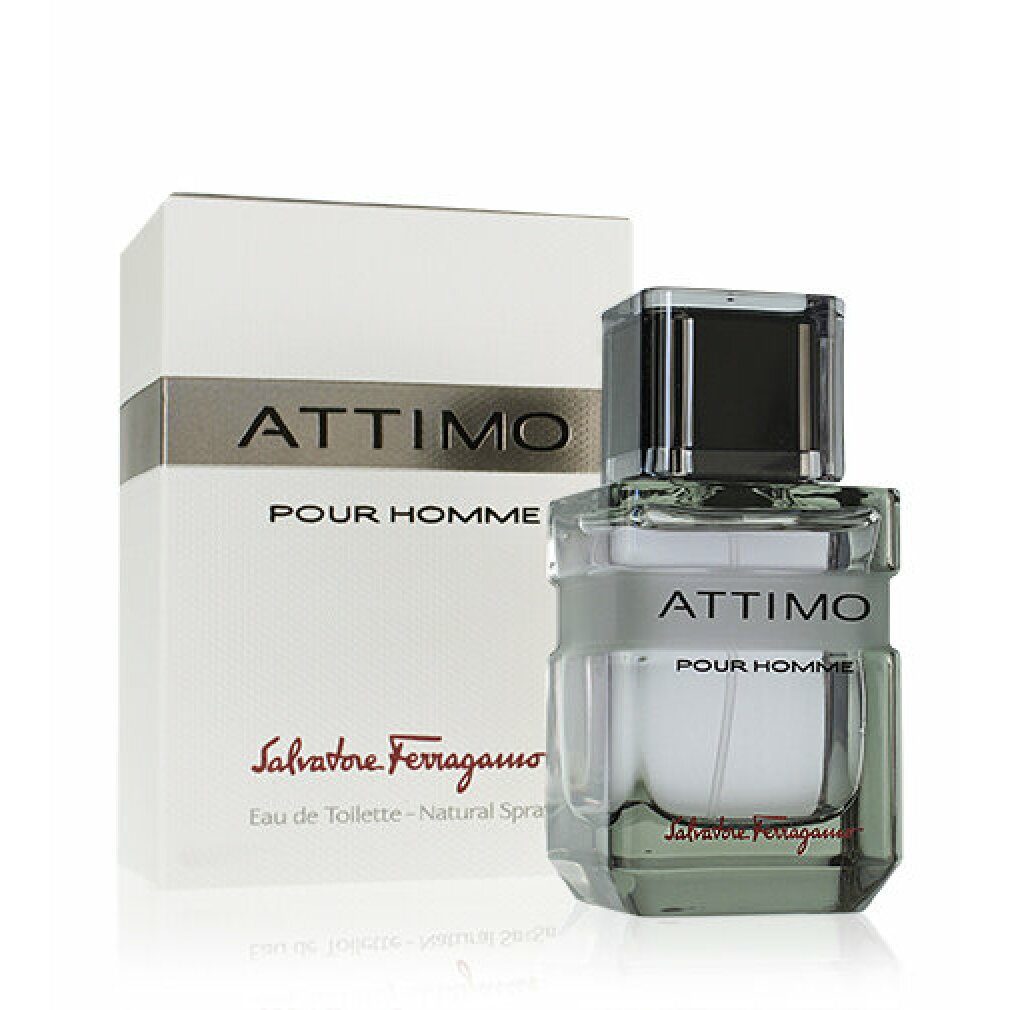 Salvatore Ferragamo Eau de Toilette Attimo Pour Homme Eau de Toilette 40ml Herren