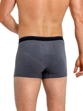 HAASIS Bodywear 1919 Retro Pants Herren Pants 5er Pack Bio Baumwolle (Packung, 5-St) -