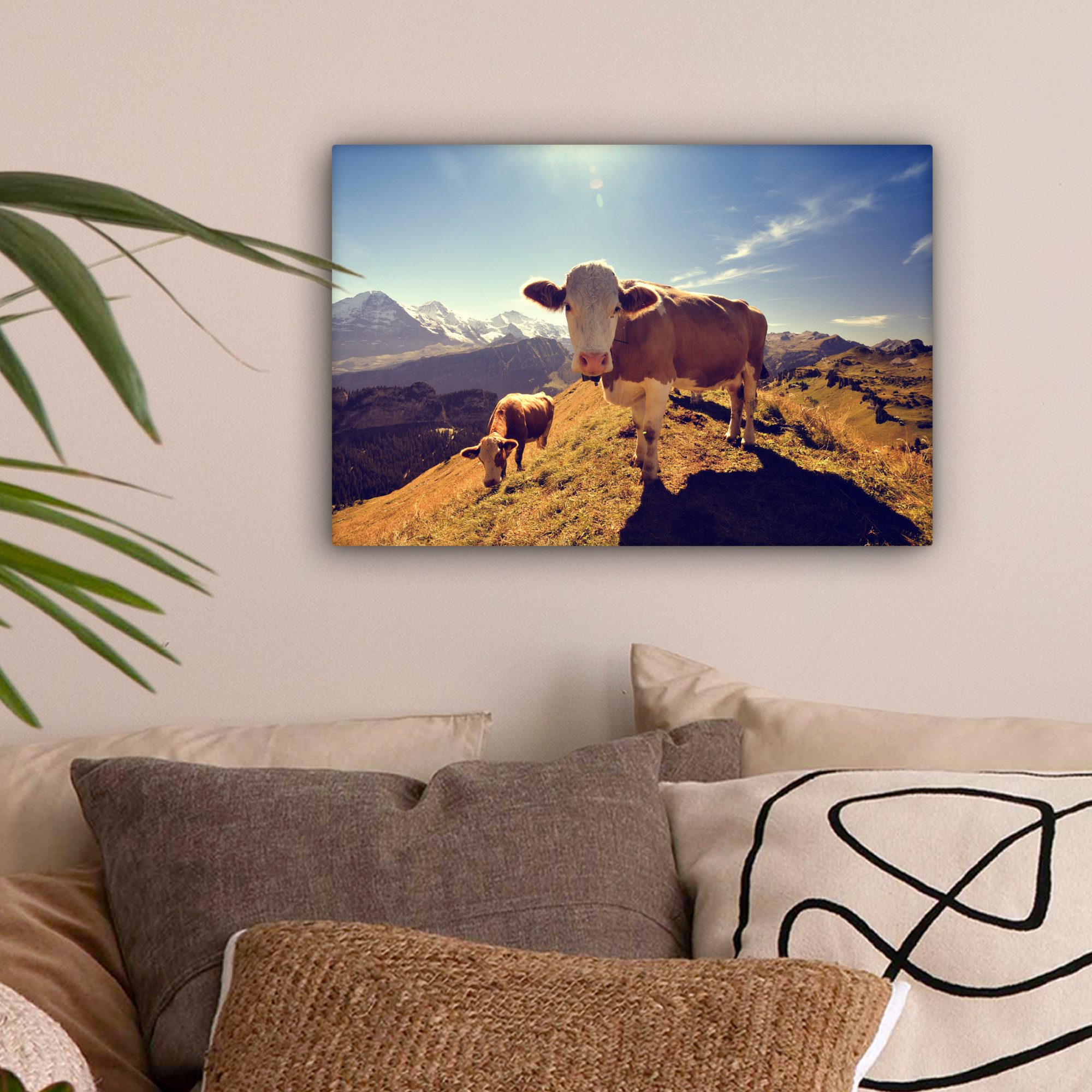 OneMillionCanvasses® Leinwandbild Kühe - Licht - günstig online kaufen