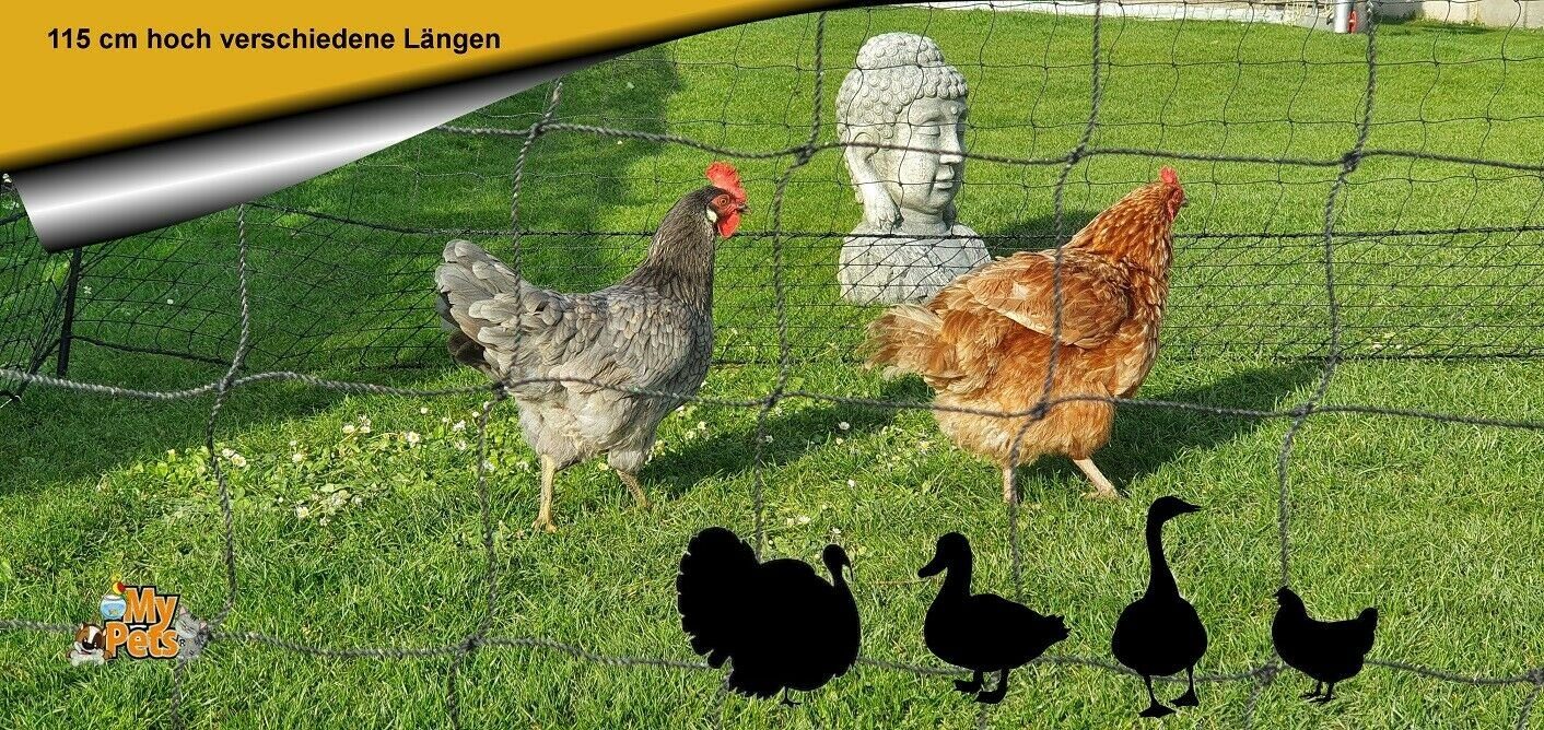 115cm Geflügelnetz mit Tür Hühnernetz Hühnerzaun Geflügelzaun Zaun Hühner Netz 