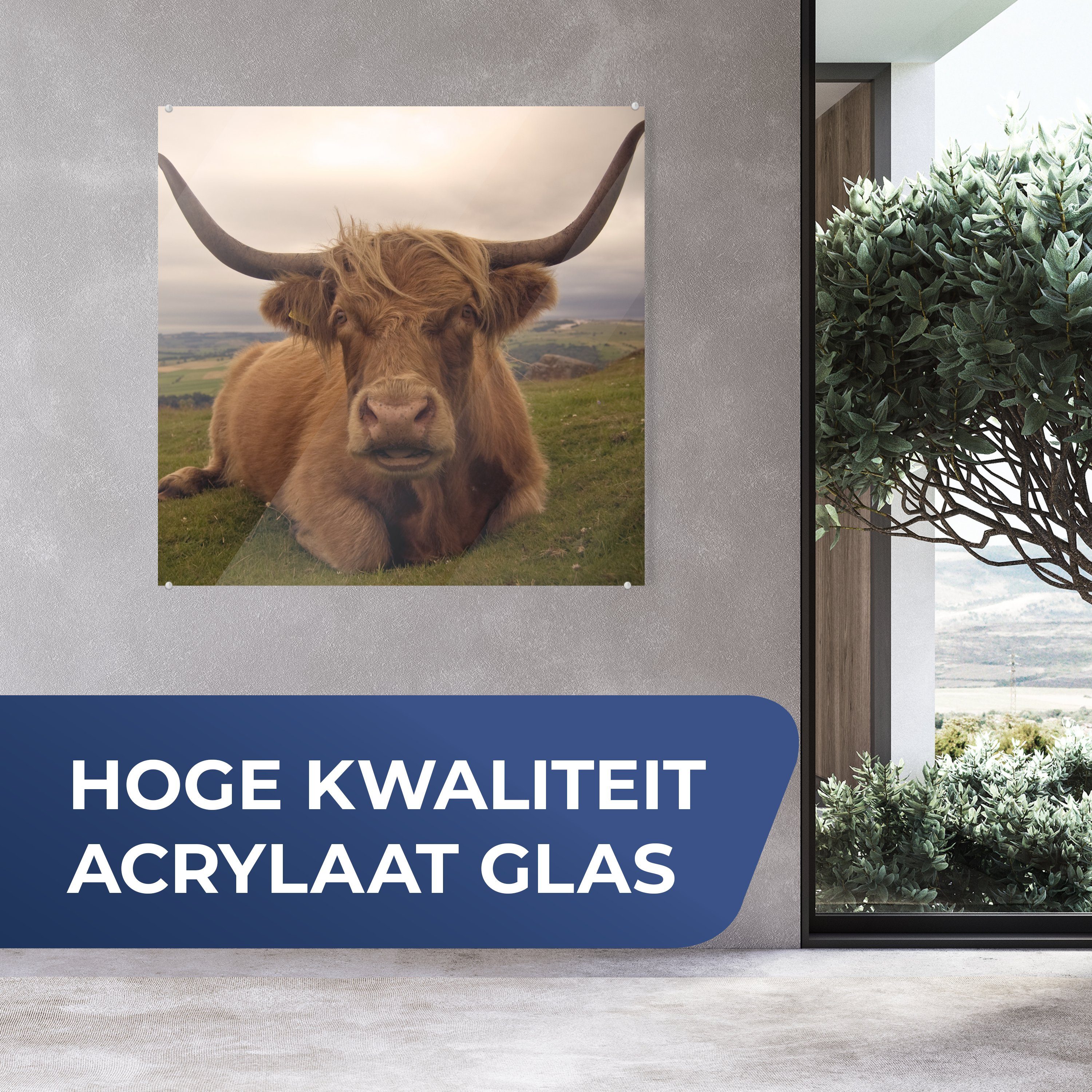 MuchoWow Acrylglasbild Schottischer Küche auf für Glas Wohnzimmer - Highlander - Dekorative St), (1 Tiere Berg, & Bild