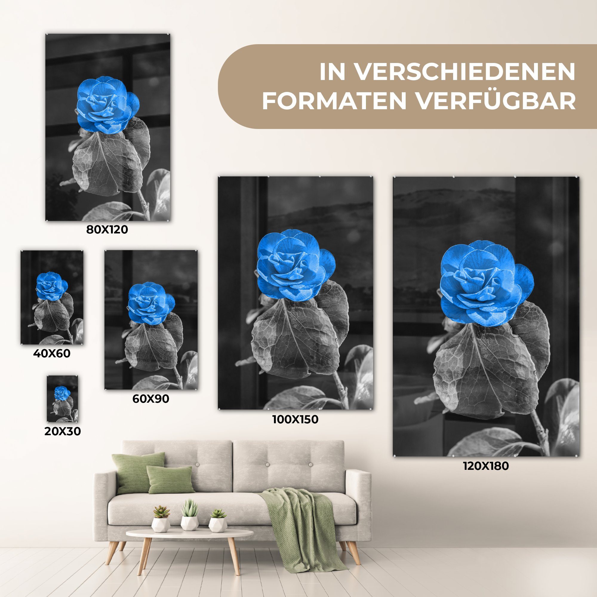 Wandbild Bilder auf (1 St), - Weiß Glas - - - MuchoWow Rose Foto Acrylglasbild Glasbilder - Blau, Blumen - Glas - auf Wanddekoration Schwarz