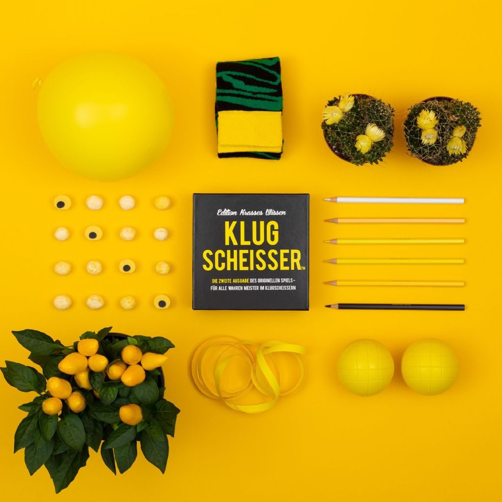 Kylskapspoesi Spiel Gesellschaftsspiel "Klugscheißer 2", Kartenspiel
