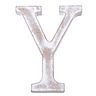 Einzelbuchstabe "Y"