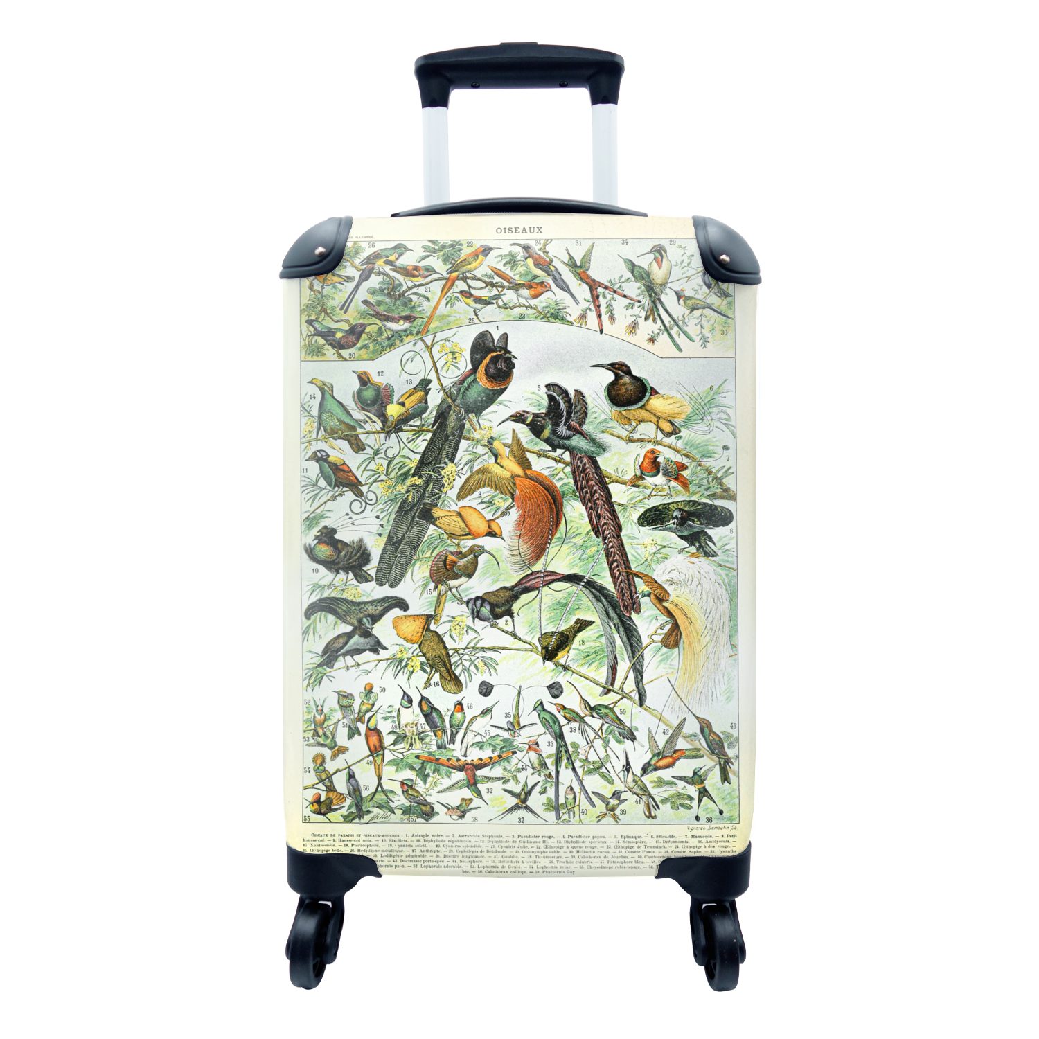 MuchoWow Handgepäckkoffer Vögel - Tier - Natur, 4 Rollen, Reisetasche mit rollen, Handgepäck für Ferien, Trolley, Reisekoffer
