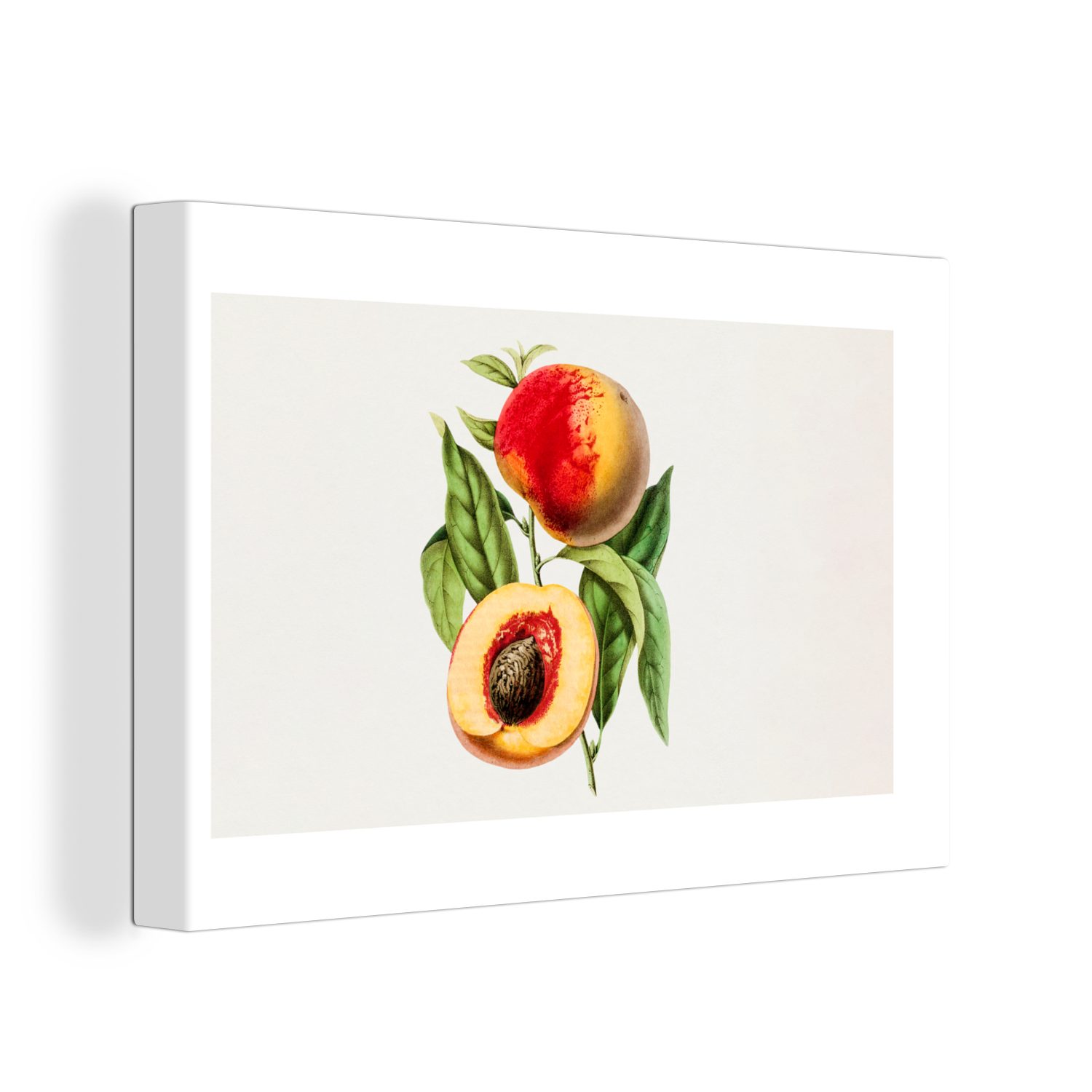 - (1 Pfirsich Leinwandbilder, Lebensmittel St), Aufhängefertig, cm Obst, - 30x20 Leinwandbild Wandbild Wanddeko, OneMillionCanvasses®