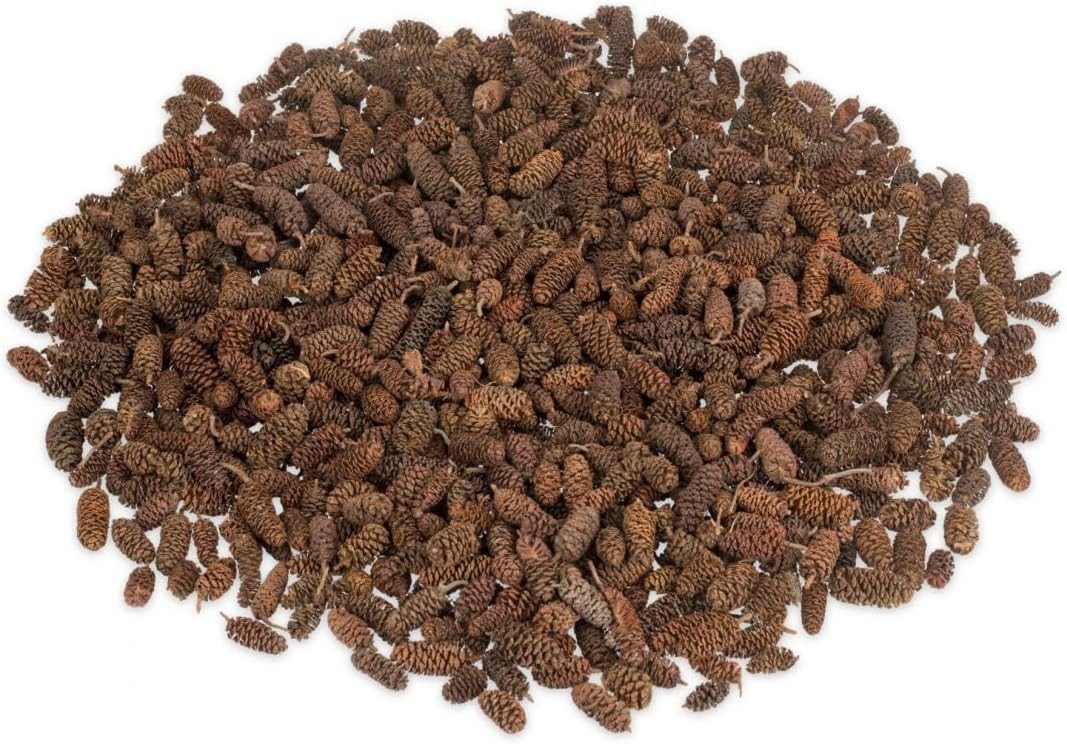 NaDeco Bastelnaturmaterial Erlen-Zapfen in Natur, Packung mit ca. 250g Alnus glutinosa