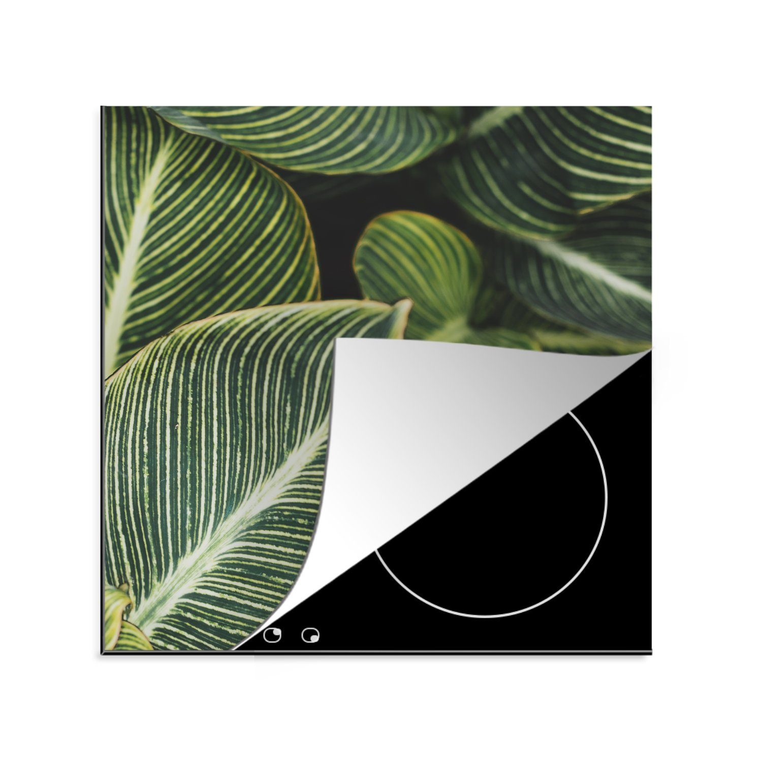 78x78 küche Natur, Vinyl, tlg), Herdblende-/Abdeckplatte (1 MuchoWow Arbeitsplatte Pflanzen - Ceranfeldabdeckung, - cm, für Blätter