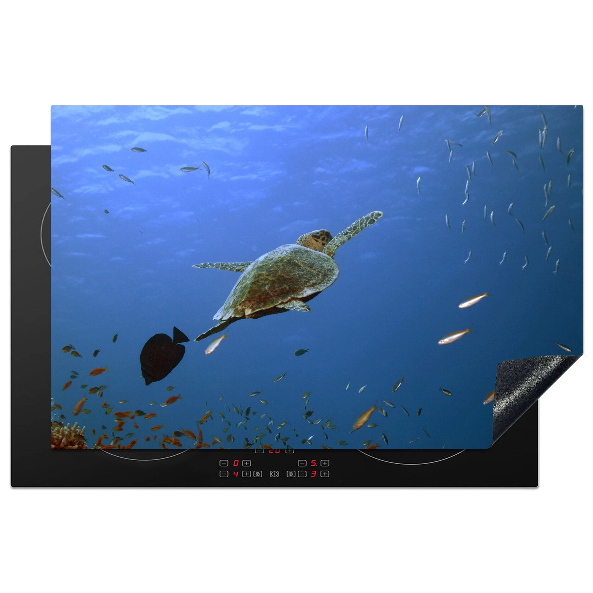 MuchoWow Herdblende-/Abdeckplatte Meeresschildkröte schwimmt durch einen Fischschwarm, Vinyl, (1 tlg), 81x52 cm, Induktionskochfeld Schutz für die küche, Ceranfeldabdeckung