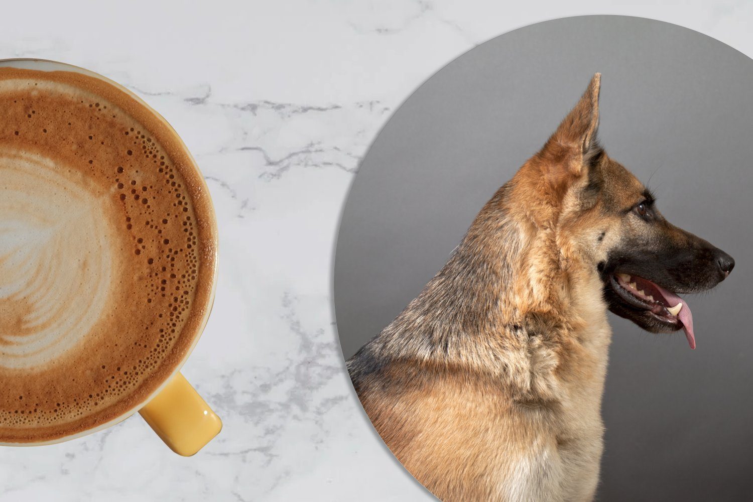 Seitenansicht Becher Gläser, Zubehör Schäferhundes, eines Glasuntersetzer Deutschen Tasse, Tassenuntersetzer, Getränkeuntersetzer, für Korkuntersetzer, 6-tlg., MuchoWow