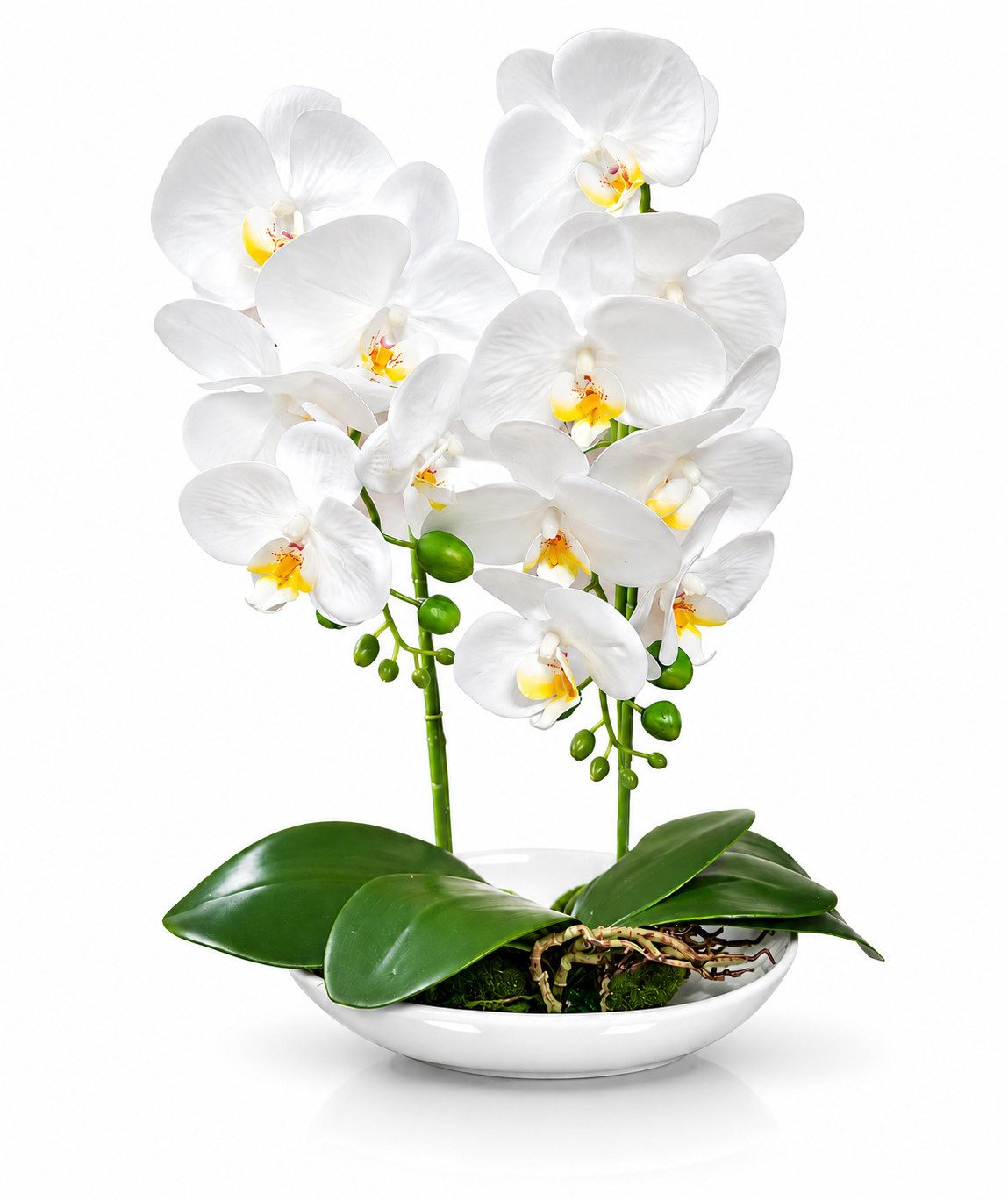 Kunstorchidee PASCH® Orchidee künstlich wie echt in Hochglanz-Keramiktopf Orchidee, PASCH, Hochglanz Keramiktopf