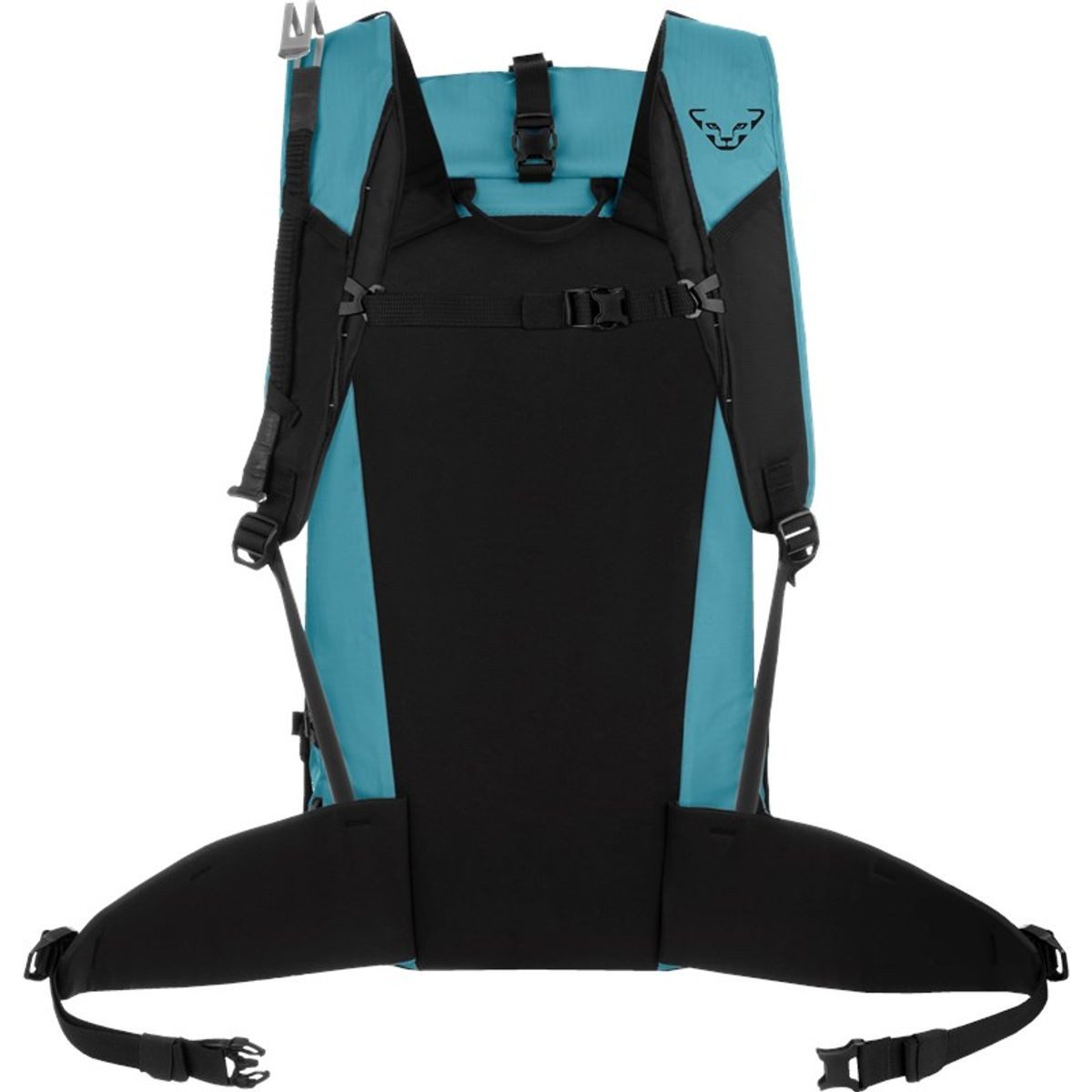 Dynafit Rucksack Expedition 36 Backpack, Unisex - DynaFit